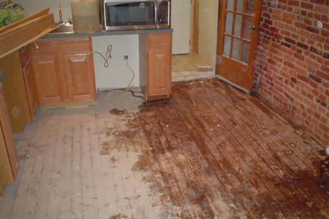 discolouration in damaged wood floor