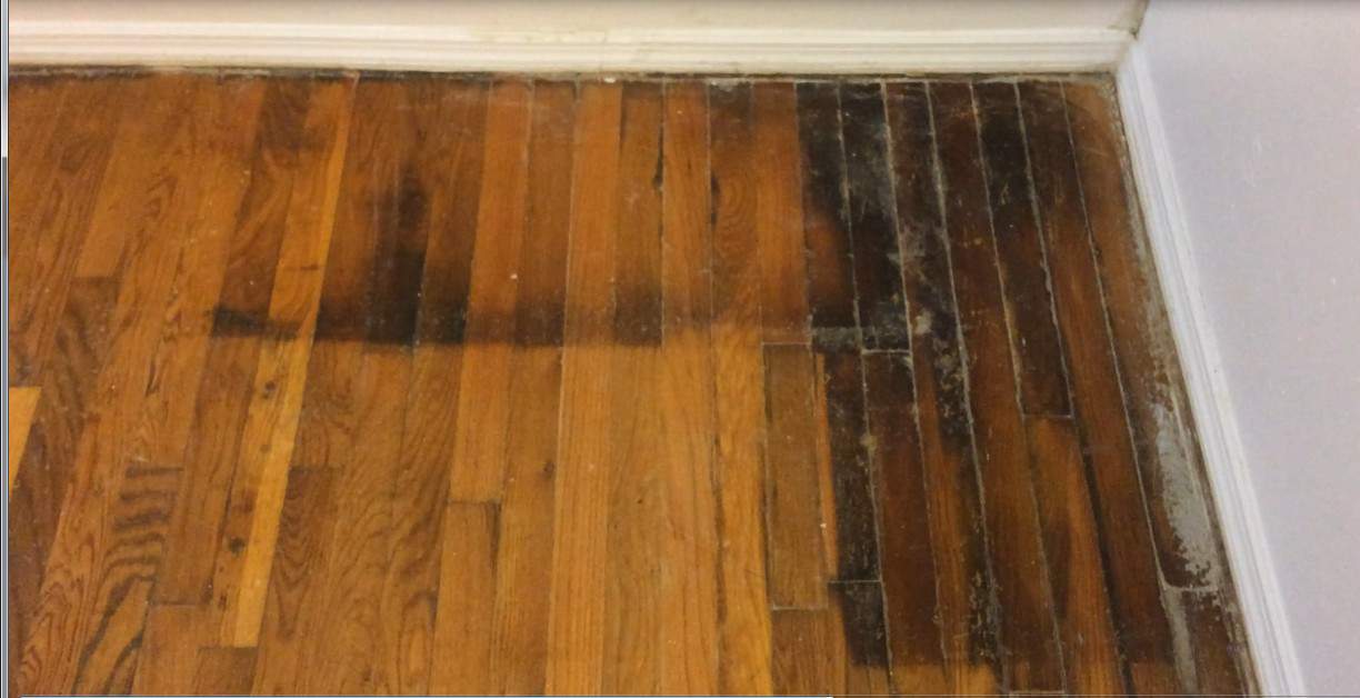 stained hardwood floor
